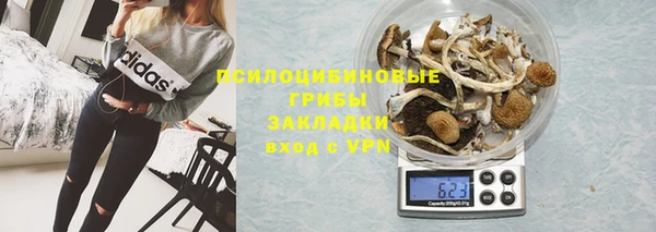 амф Бронницы