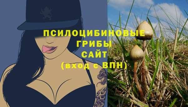 амф Бронницы