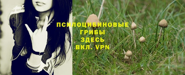 кокаин Бородино
