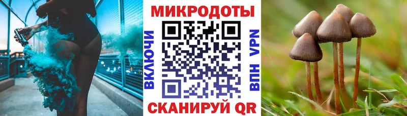 Галлюциногенные грибы Magic Shrooms  hydra маркетплейс  Дальнегорск 