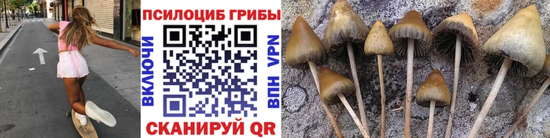 Псилоцибиновые грибы прущие грибы Дальнегорск